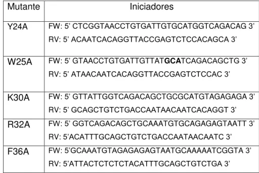 Tabela 1 - Sequência dos iniciadores foward e reverse utilizados nas reações de  mutação sítio dirigidas