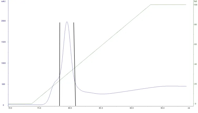 Figura 19  –  Perfil da cromatografia de afinidade (IMAC)  resultante da aplicação  do  extrato  celular  contendo  a  proteína  em  fusão  Trx-rPnTx4(5-5)  em  coluna  Histrap HP (0,7 × 2.5 cm/ 1 ml)
