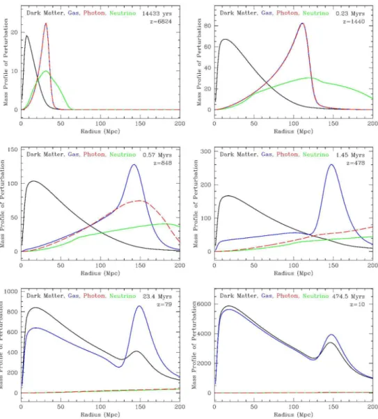 Figura 2.5: Perfil das perturbações de densidade como função do raio comóvel. As perturbações na matéria escura (curva preta), bárions (curva azul), fótons (curva vermelha) e neutrinos (curva verde) evoluem desde de tempos remotos (z = 6824) até muito após