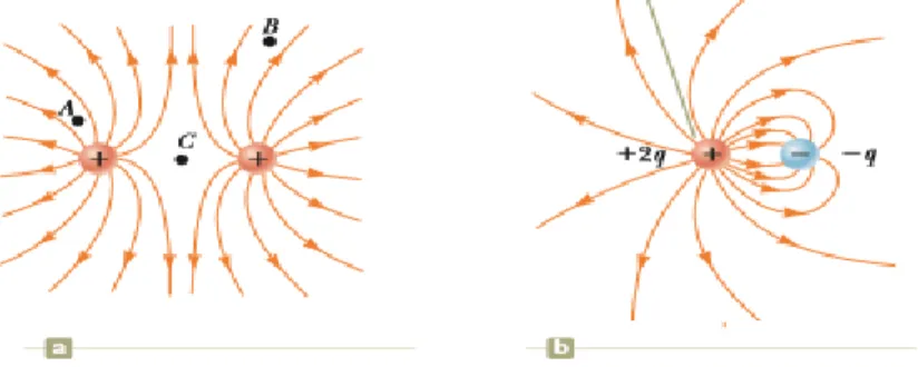 Figura 3.8 – (a) Linhas de campo elétrico entre duas cargas puntiformes  positivas. (b) Linhas de campo elétrico entre uma carga puntiforme + 2q e outra 