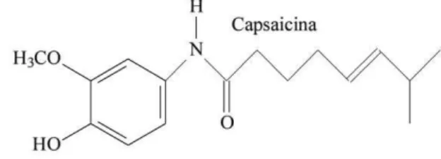 Figura 1. Fórmula química estrutural da capsaicina.   