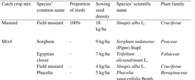 Table 2.2. Experiment catch crops’ species composition. 