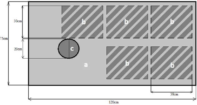 Figure 2.5. Schematic labelled area view from above. Area “a” corresponds to the total area within the labelling chamber; 