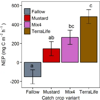 Figure 3.1. NEP values of the different catch crop treatments and the fallow soil. NEP was calculated on the field plot base