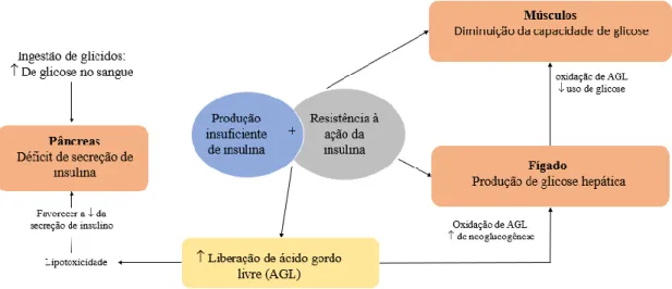 Figura 4. Fisiopatologia da diabetes tipo 2, adaptado de  (Monnier, 2014) 