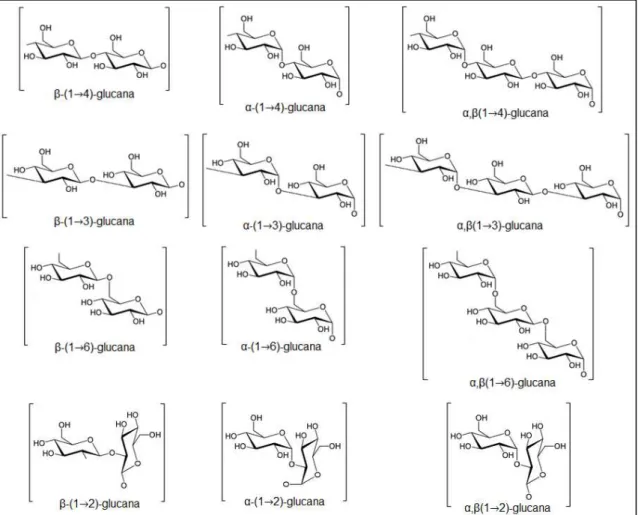 FIGURA 1. Tipos de ligações glicosídicas comuns em glucanas. Fonte própria. 