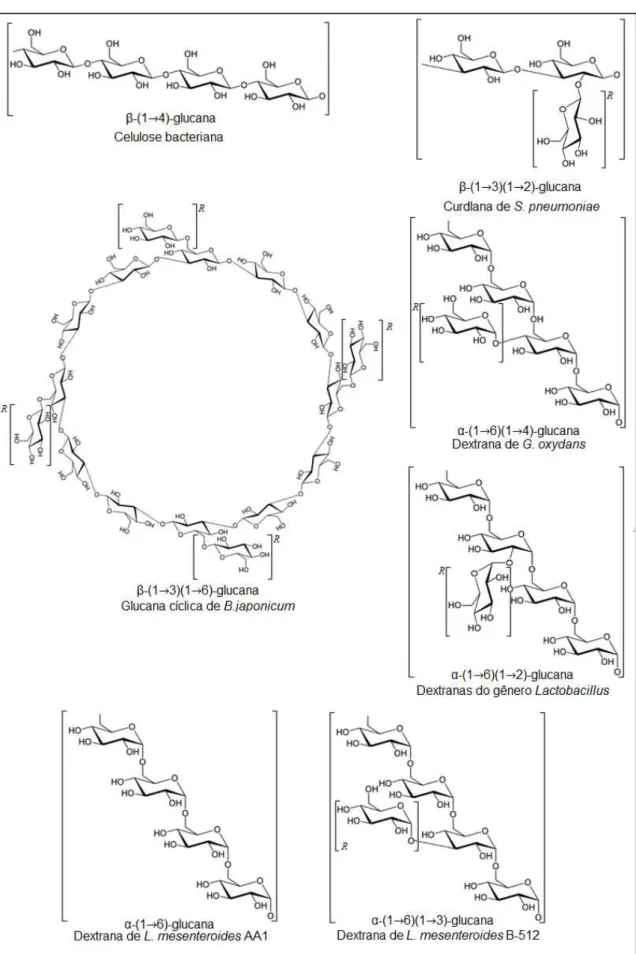 FIGURA 2. Estruturas químicas de glucanas de bactérias. Fonte própria 