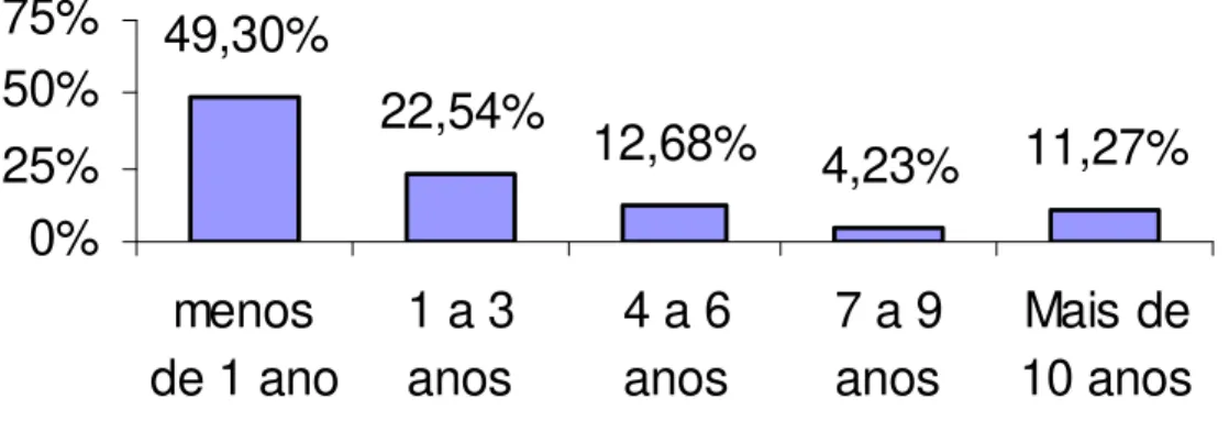 Gráfico 04 – Percentual dos entrevistados por tempo de trabalho na empresa 