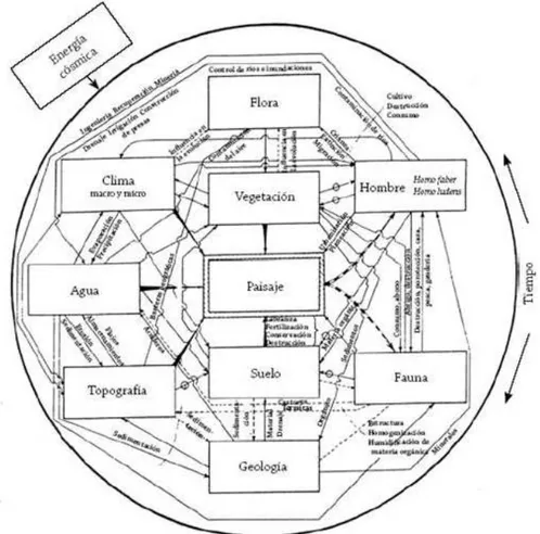 Figura 1 - Síntese do pensamento sistêmico nos estudos ambientais 