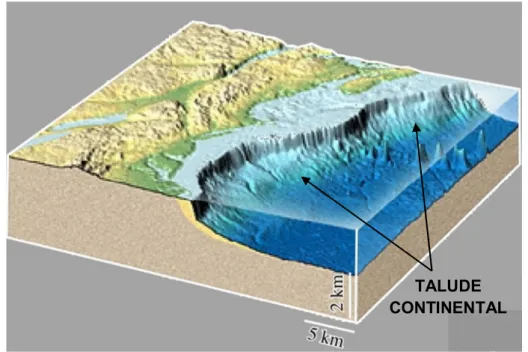 Figura  04:  Fisiografia  do  Talude  continental.  Fonte:  AGI  (1999)  –  American  Geological Institute