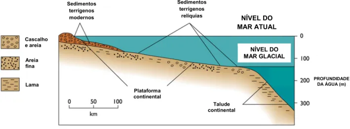 Figura  06:  Tipos  de  sedimentos  encontrados  nas  zonas  submersas  oceânicas.  No  talude continental pode-se identificar a presença de “mud” (lama)