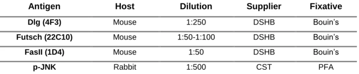 Table 2.3. Primary antibodies used in immunofluorescence assays.  DSHB: Developmental Studies  Hybridoma Bank; CST: Cell Signaling Technology 