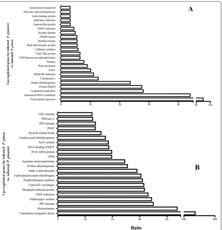 Figure 5 Up-regulated genes in (A) infested P. pinaster compared to infested P. pinea and (B) infested P