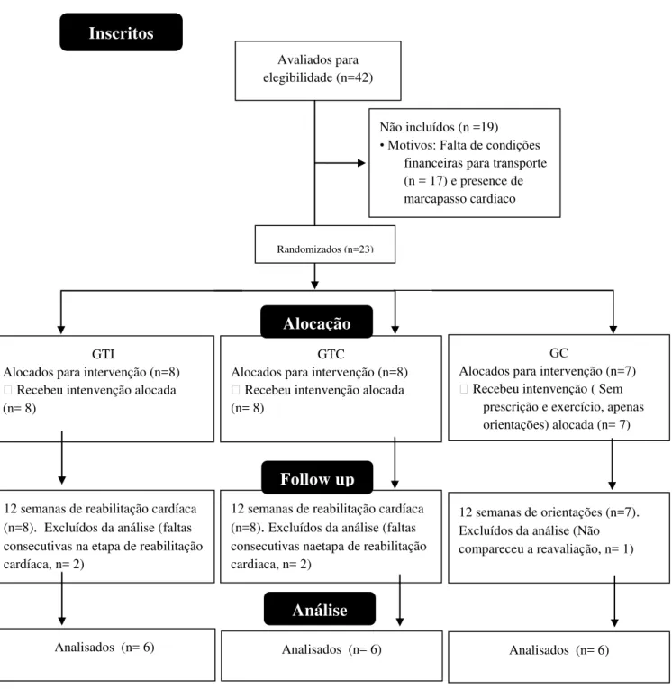 Figura 1. Fluxograma do estudo. 