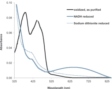 Fig. 1. UV–visible absorption spectra of NDH-2 as puriﬁed (black solid line), reduced with NADH (blue solid line) or reduced with sodium dithionite (blue dashed line)