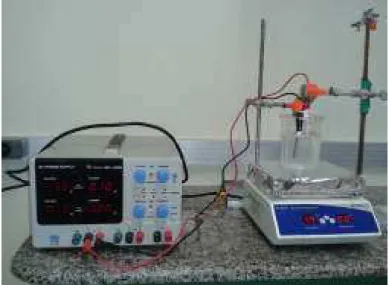 Figura 4.6   Processo eletroquímico na redução de NO3 (