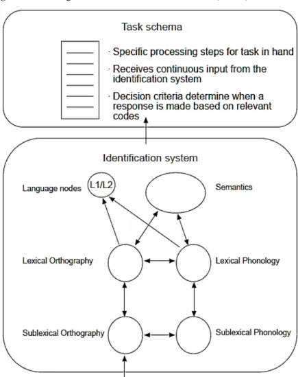Figure 5 – Bilingual Interactive Activation Plus (BIA+).  