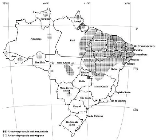 Figura 2.1 - Distribuição aproximada das regiões produtoras de feijão-caupi no Brasil