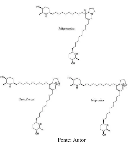 Figura 9. Juliprosopina, prosoflorina e juliprosina