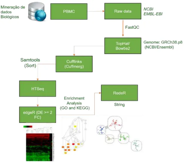 Figura 7. Workflow da metodologia utilizada.