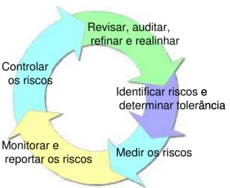 Figura 8: Processo de gerenciamento de risco de CULP  (CULP, 2002, p. 200) 