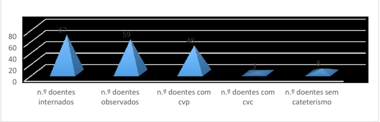 Gráfico 2 – Verificações realizadas 