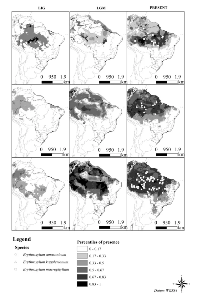 Figure 1- Amazonian pattern with occurence of tropical wet vegetation under LIG conditions (~130 Kyr BP), LGM (~21 Kyr BP) and Present (current climate)