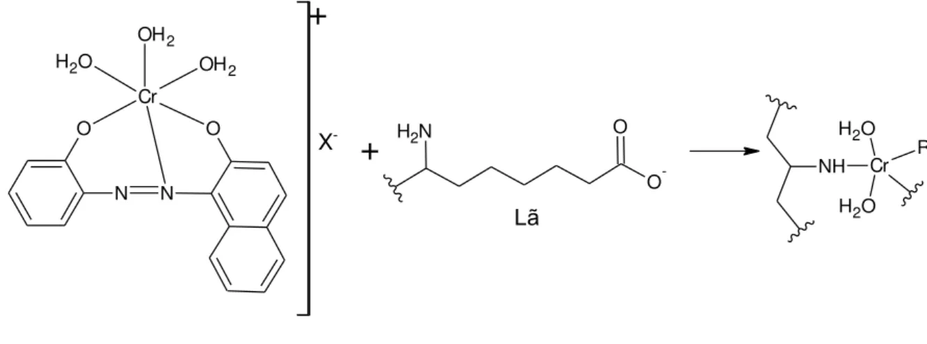 Figura 6  –  Corante pré-metalizado cromo/corante 1:1 sendo utilizado para corar lã através do  grupo amino do tecido que se coordena ao centro metálico do corante