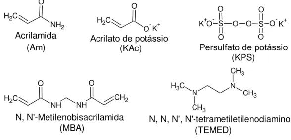 Figura 9  –  Estruturas químicas dos reagentes empregados na síntese do Pam Acril. 