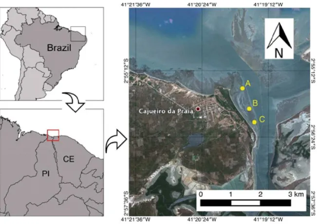 Figura 2 – Localização da área de estudo. Foz dos rios Timonha e Ubatuba na divisa dos estados do Piauí e Ceará, Nordeste- Brasil.