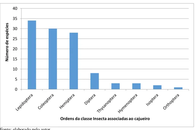 Gráfico  1  –   Quantidade  de  espécies  pertencentes  à  Classe  Insecta  nas  diferentes    Ordens de pragas associadas ao cajueiro no Brasil 