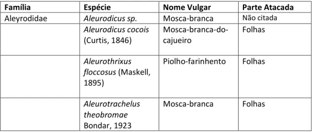 Tabela 6 – Espécies da família Aleyrodidae constatados em cajueiro e parte da planta atacada 