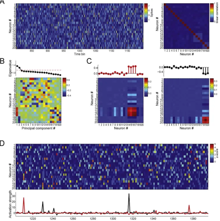 Fig. 4. Detecting cell assemblies and tracking their activity using principal component analysis