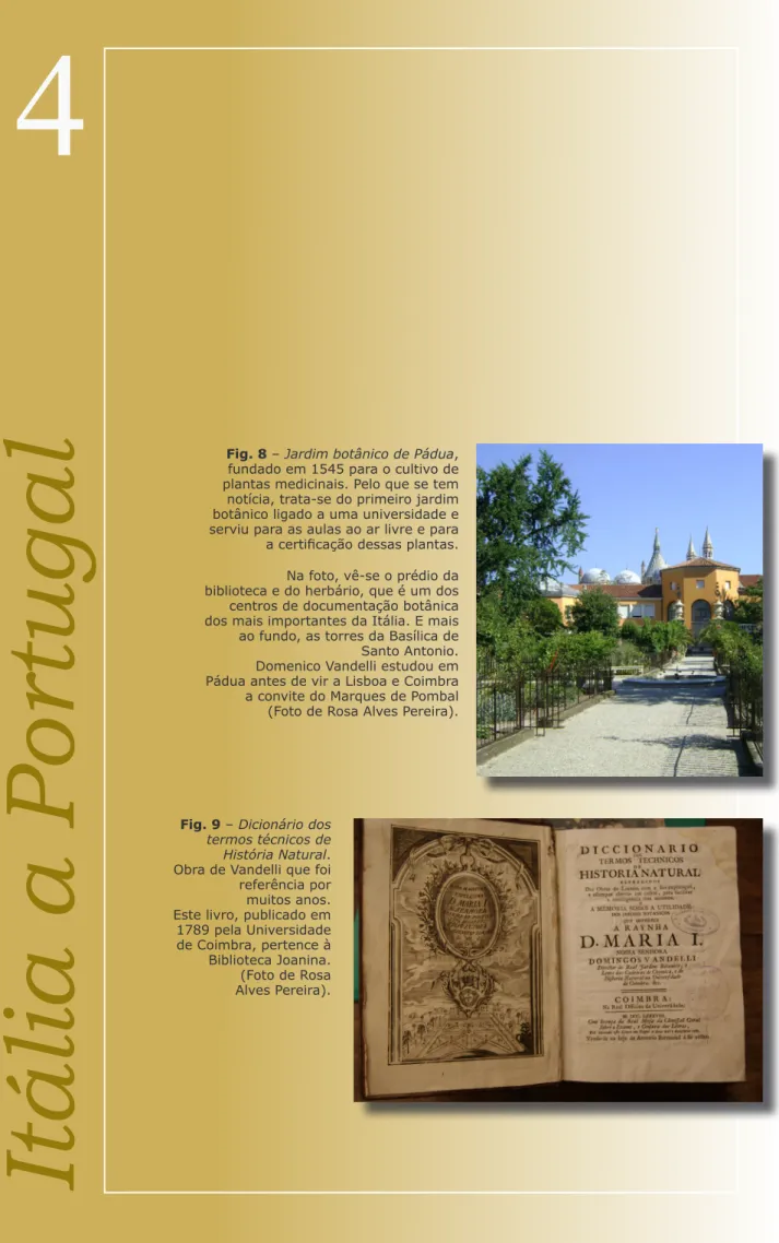Fig. 8 – Jardim botânico de Pádua,  fundado em 1545 para o cultivo de  plantas medicinais