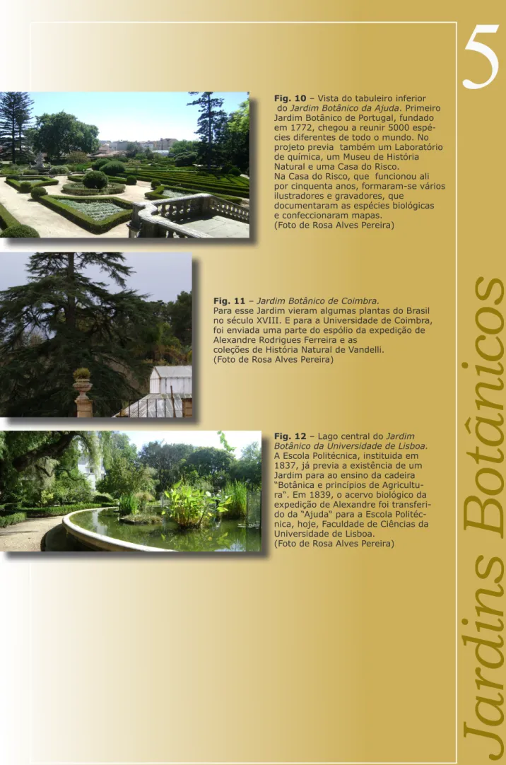 Fig. 10 – Vista do tabuleiro inferior  do Jardim Botânico da Ajuda. Primeiro  Jardim Botânico de Portugal, fundado  em 1772, chegou a reunir 5000  espé-cies diferentes de todo o mundo