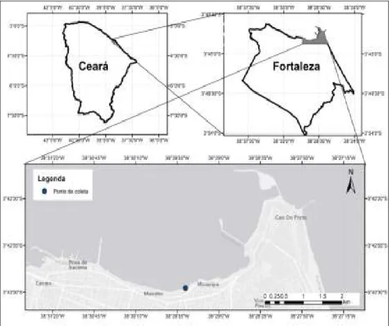 Figura 1. Mapa com localização da praia do Náutico, mostrando a estação de coleta.