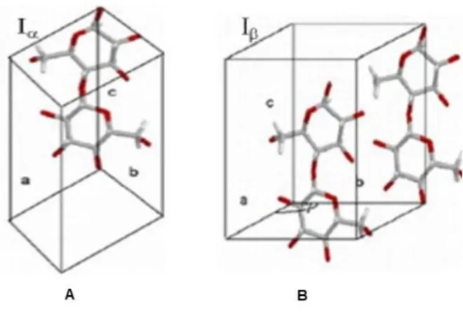 Figura 3 - Estruturas cristalinas da celulose nativa. A). Apresenta a estrutura triclina da celulose  Iα e B)