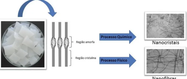 Figura 5 - Nanoestruturas obtidas por desintegração da CB por processo químico e/ou físico 