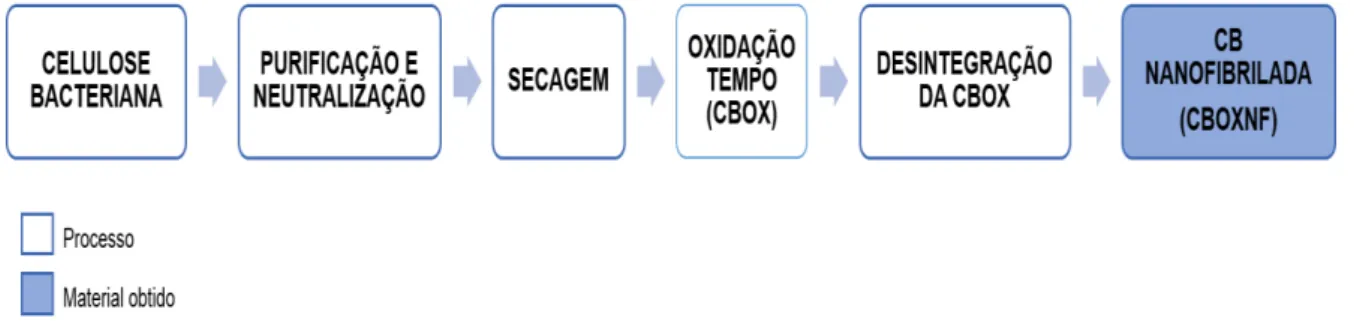 Figura  8  -  Esquema  de  obtenção  da  CBOXNF  a  partir  da  CB  oxidada  a  TEMPO  utilizando  homogeneizador de alta rotação