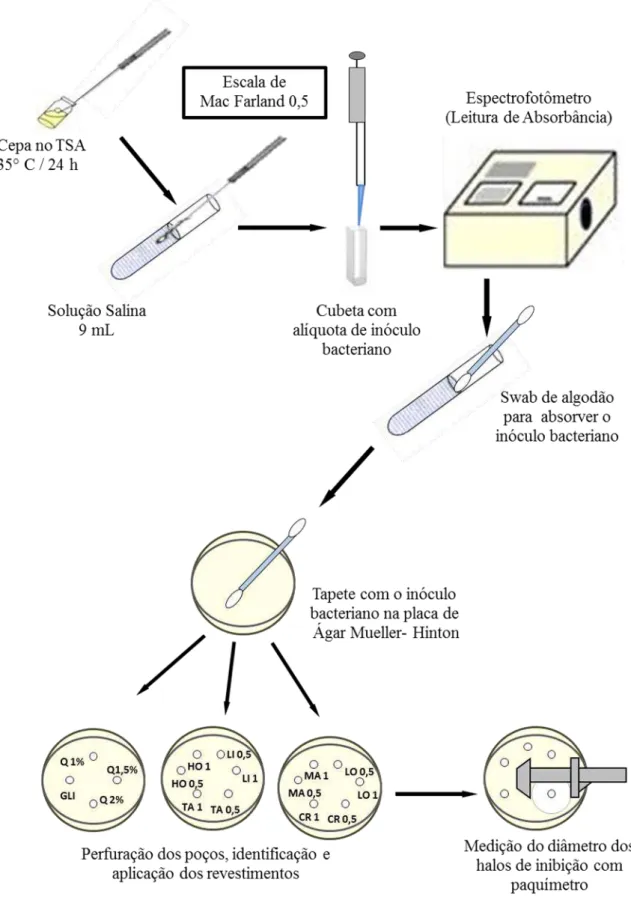 Figura  9  –  Fluxograma  da  atividade  antimicrobiana  dos  revestimentos  comestíveis  de  quitosana e óleos essenciais - técnica de difusão em ágar