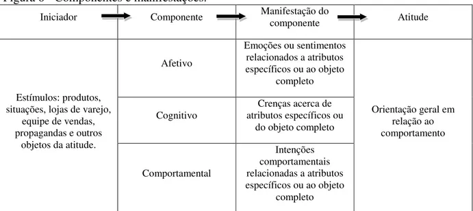 Figura 6 - Componentes e manifestações. 