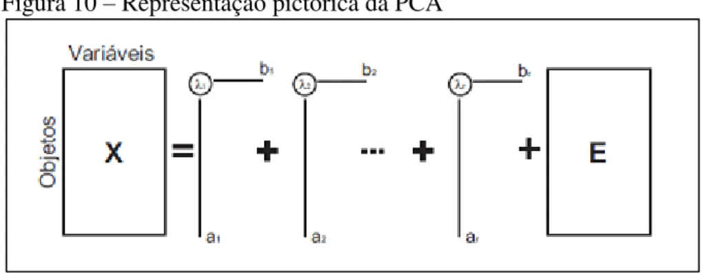 Figura 10 – Representação pictórica da PCA 