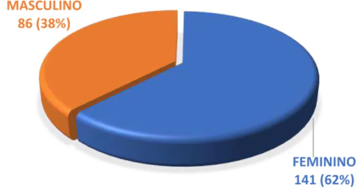 Gráfico 1  –  Distribuição de frequência segundo o sexo dos respondentes  