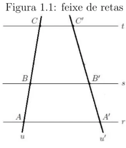 Figura 1.1: feixe de retas