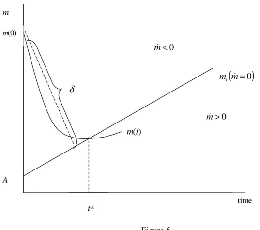 Figure 5 illustrates the solution of the model. Constraint (C3) ensures that m(0) is  above the intercept A