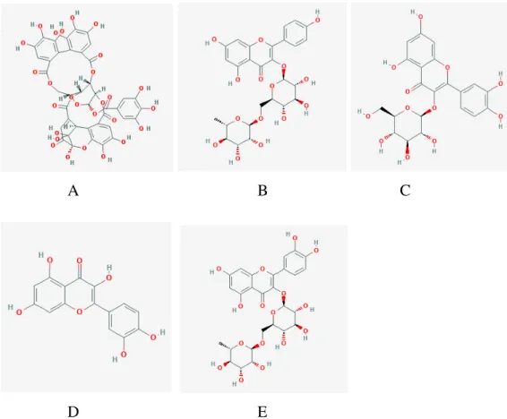 Figura 9: Estrutura química dos compostos fenólicos encontrados no EEBS 