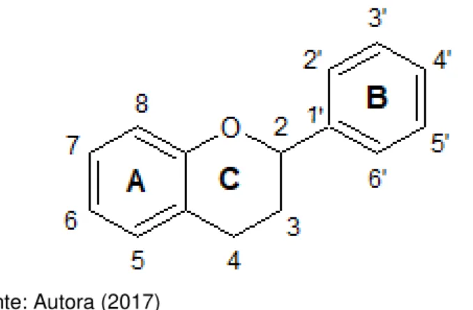 Figura 1 - Estrutura química básica dos flavonoides 