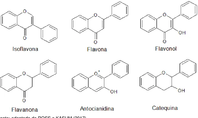 Figura  2  -  Estrutura  química  dos  principais  tipos  de  flavonoides  (ROSS;  KASUM,  2002) 
