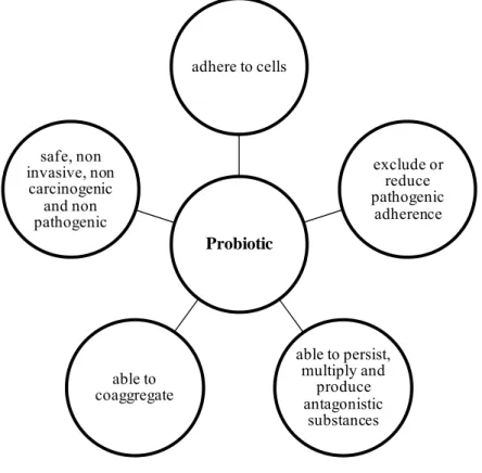Figure 1.1. Requirements in the choice of a probiotic (Iannitti and Palmieri, 2010). 