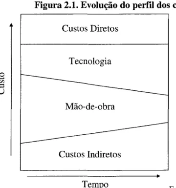 Figura 2.1. Evolução do perfil dos custos 